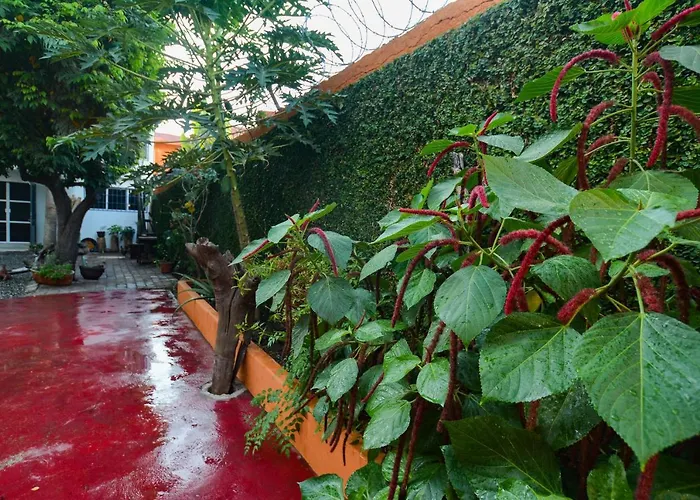 Teka Villa Zihuatanejo